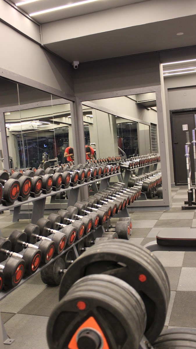HRBR Branch — 06-dumbbells.jpg